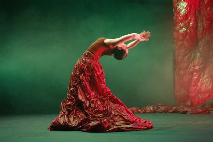 Festival Flamenco de Nmes 2024